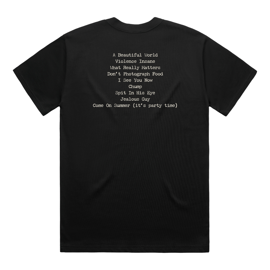 Violence Insane in a Beautiful World | Black Album T-Shirt